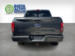 
										2019 Ford F-150 Lariat full									