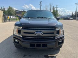 
										2019 Ford F-150 XLT Sport FX4 full									