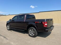 
										2019 Ford F-150 XLT Sport FX4 full									