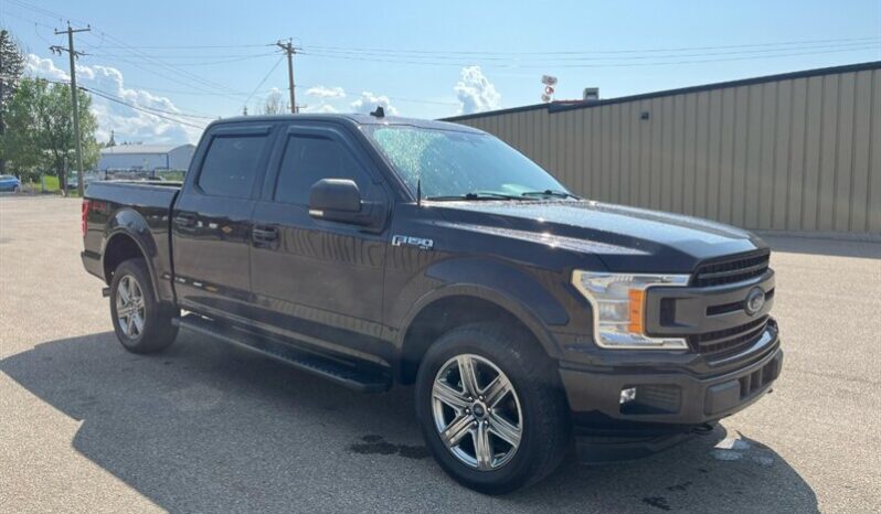 
								2019 Ford F-150 XLT Sport FX4 full									