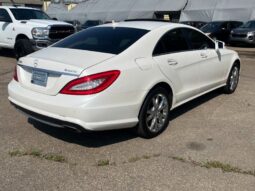 
										2014 Mercedes-Benz CLS CLS 550 4MATIC full									