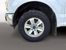 
										2019 Ford F-150 XLT full									