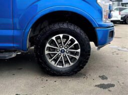 
										2019 Ford F-150 Lariat full									
