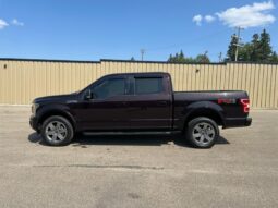 
										2019 Ford F-150 XLT Sport FX4 full									