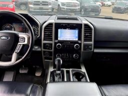 
										2019 Ford F-150 Lariat full									