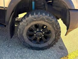 
										2020 RAM 2500 Power Wagon full									