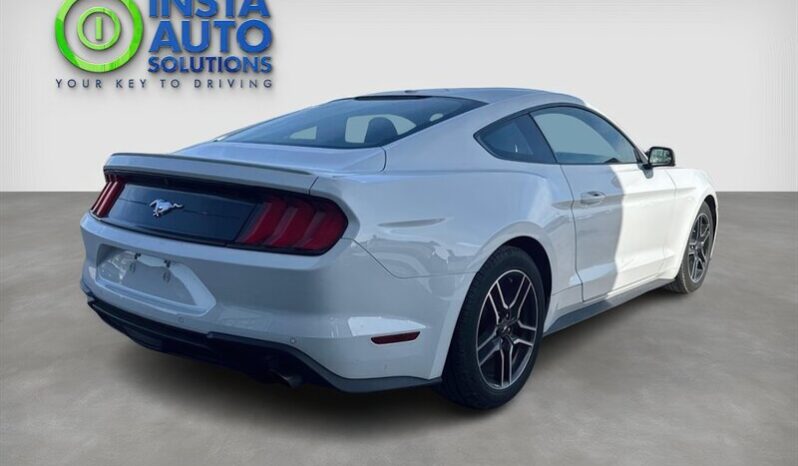 
								2019 Ford Mustang EcoBoost full									