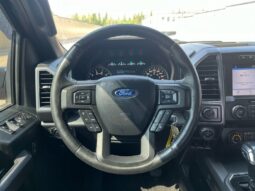 
										2019 Ford F-150 XLT Sport FX4 full									