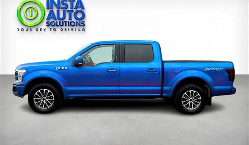 
								2019 Ford F-150 Lariat full									