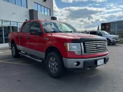 
										2011 Ford F-150 XLT full									