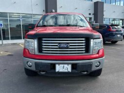 
										2011 Ford F-150 XLT full									