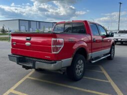 
										2011 Ford F-150 XLT full									