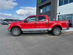 
										2011 Ford F-150 XLT full									