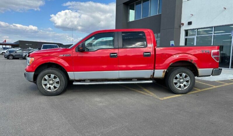 
								2011 Ford F-150 XLT full									