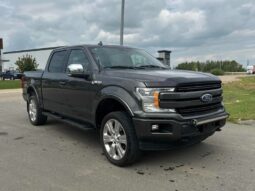 
										2018 Ford F-150 Lariat full									
