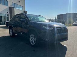 
										2019 Toyota RAV4 LE full									