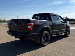 
										2019 Ford F-150 XLT Sport full									