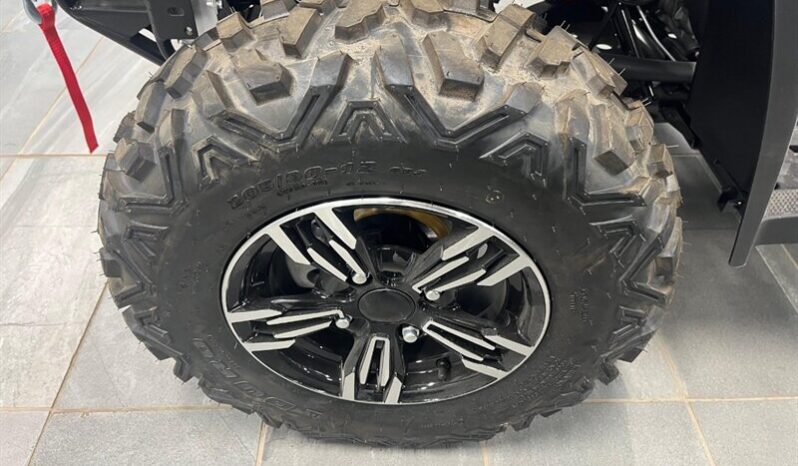 
								2024 Massimo MSA 760 full									