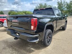 
										2024 GMC Sierra 1500 Pro Graphite Edition full									