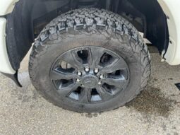 
										2019 RAM 2500 Laramie full									