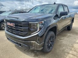 
										2024 GMC Sierra 1500 Pro Graphite Edition full									