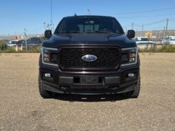 
										2019 Ford F-150 XLT Sport full									
