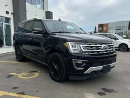 
										2020 Ford Expedition Limited full									