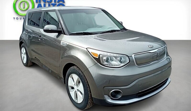 
								2016 Kia Soul EV-E full									