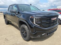 2024 GMC Sierra 1500 Pro Graphite Edition