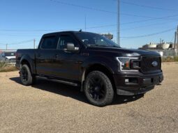 
										2019 Ford F-150 XLT Sport full									