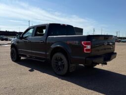 
										2019 Ford F-150 XLT Sport full									