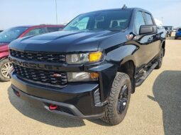 
										2022 Chevrolet Silverado 1500 Limited Custom Trail Boss full									