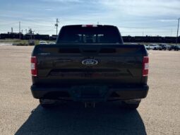 
										2019 Ford F-150 XLT Sport full									