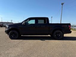
										2019 Ford F-150 XLT Sport full									