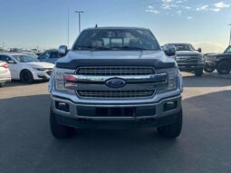 
										2019 Ford F-150 Lariat FX4 full									