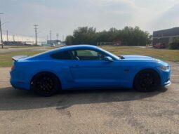 
										2017 Ford Mustang GT full									