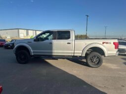 
										2019 Ford F-150 Lariat FX4 full									