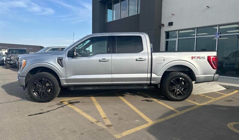 
								2021 Ford F-150 XLT full									