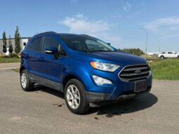 
										2020 Ford EcoSport SE full									