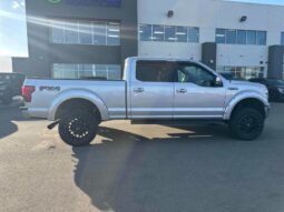 
										2019 Ford F-150 Lariat FX4 full									