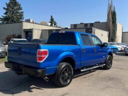 
										2012 Ford F-150 XLT XTR EcoBoost Crew Cab 4×4 full									
