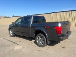 
										2019 Ford F-150 Lariat FX4 full									