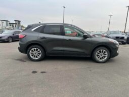 
										2020 Ford Escape SE full									