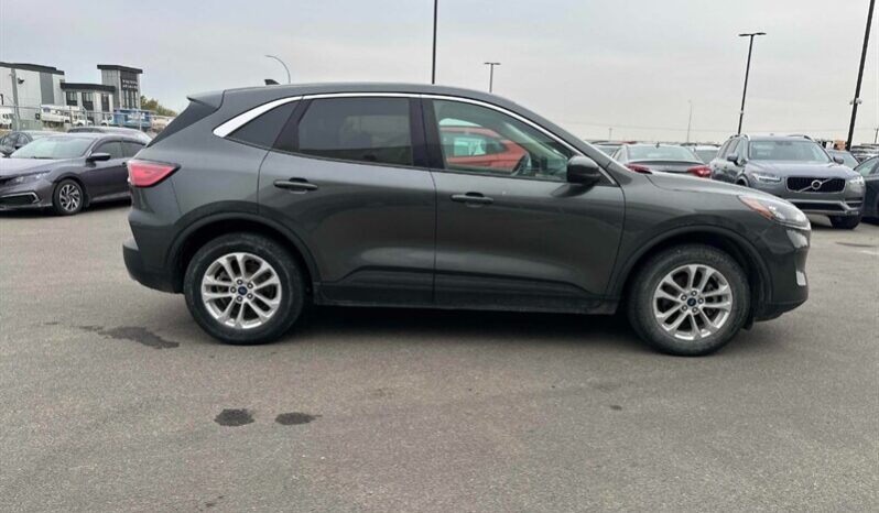 
								2020 Ford Escape SE full									