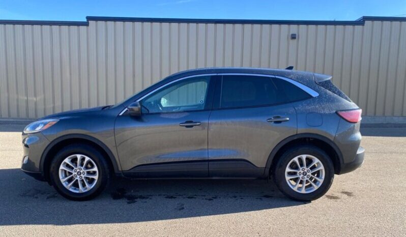 
								2020 Ford Escape SE full									