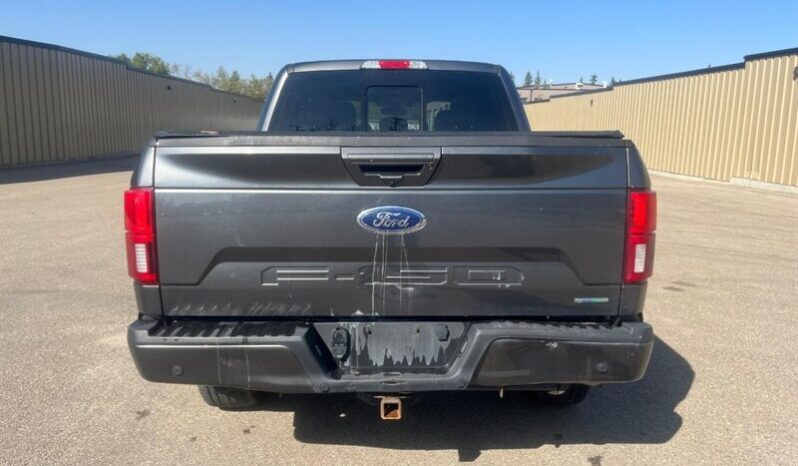 
								2019 Ford F-150 Lariat FX4 full									