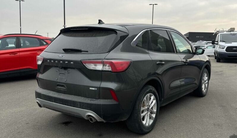 
								2020 Ford Escape SE full									