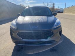 
										2020 Ford Escape SE full									