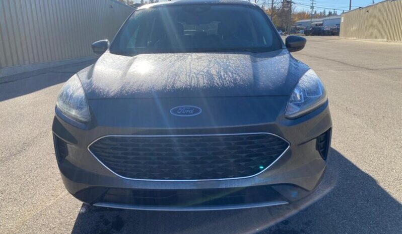 
								2020 Ford Escape SE full									
