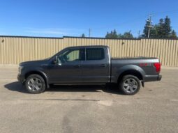 
										2019 Ford F-150 Lariat FX4 full									